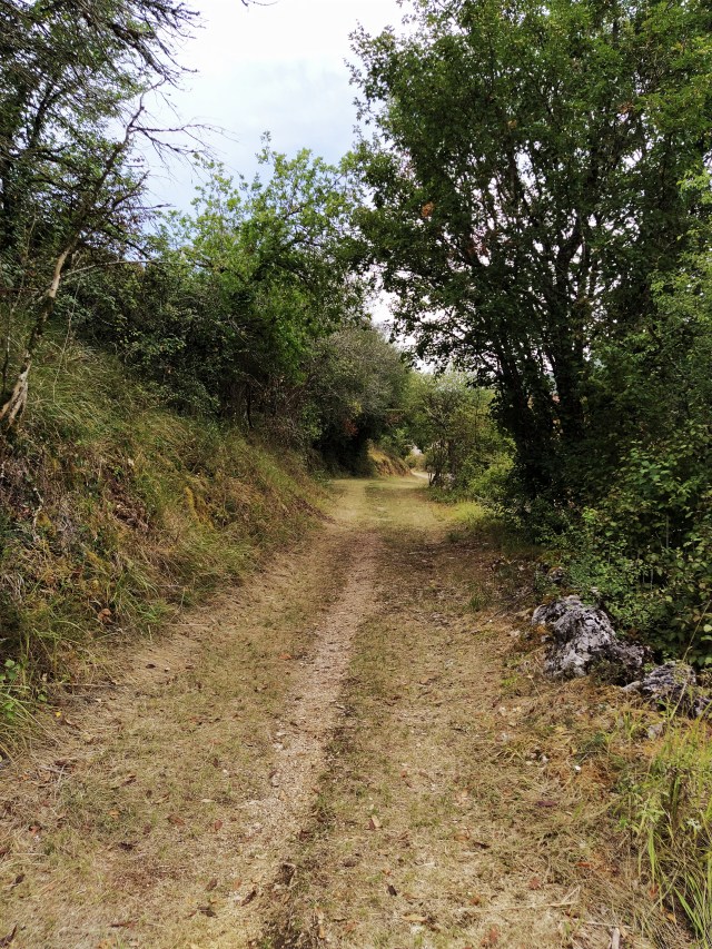 IMG_20200817_120510-01