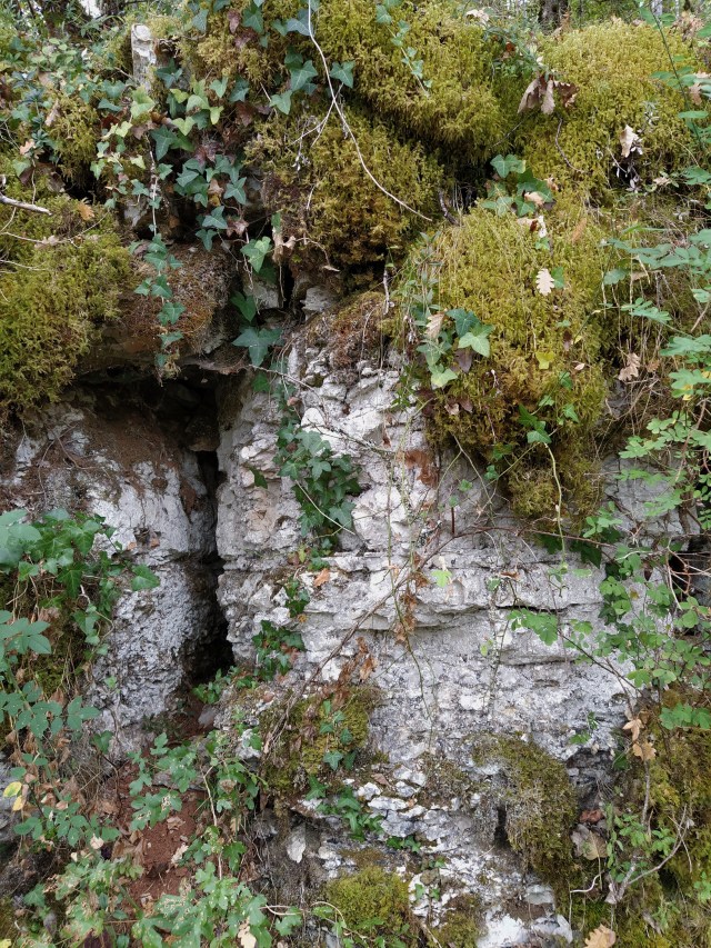 IMG_20200817_121326-01