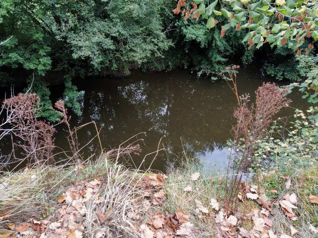 IMG_20200817_121435-01