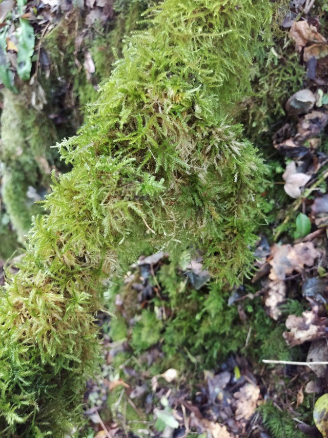 IMG_20200817_122002-01