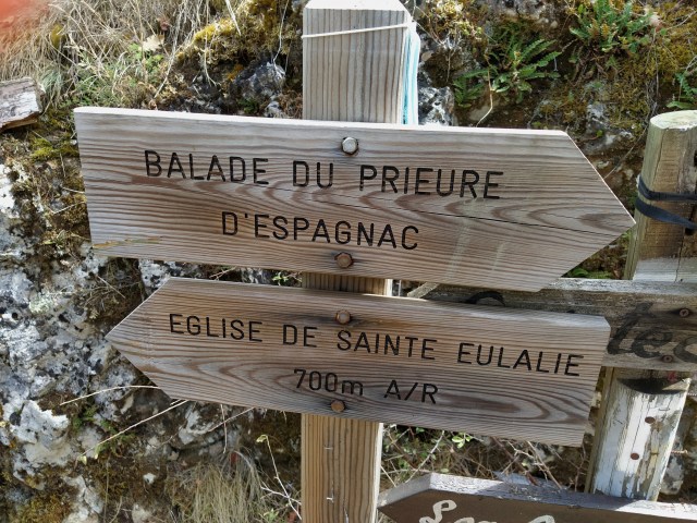 IMG_20200817_122648-01