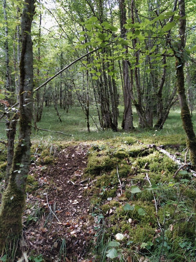 IMG_20200817_124630-01