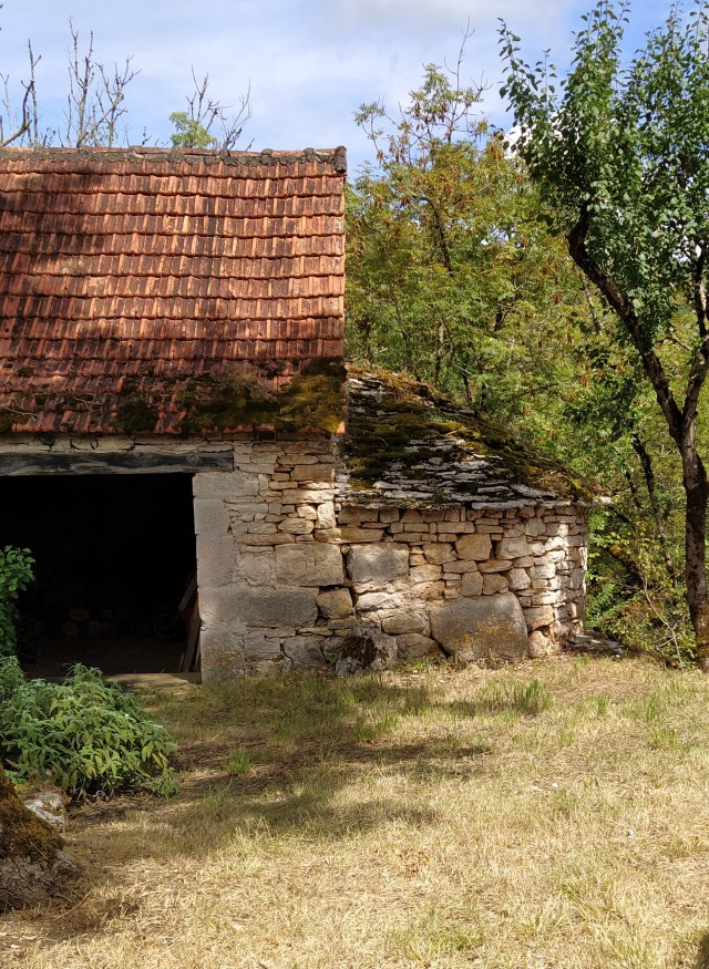 IMG_20200817_131818-01