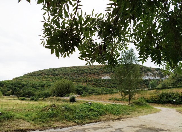 IMG_20200817_142823-01