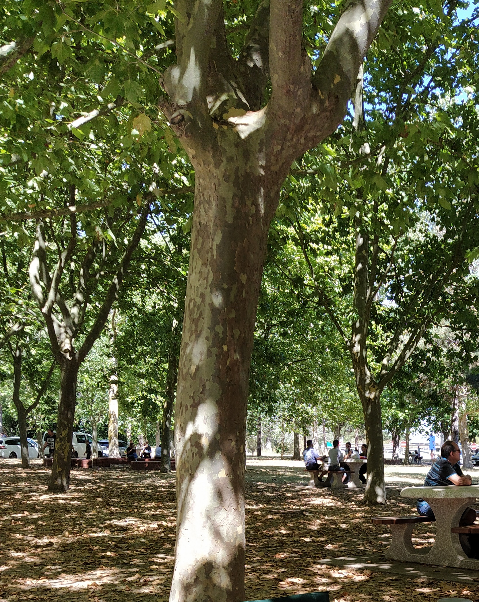 IMG_20200819_125152-01