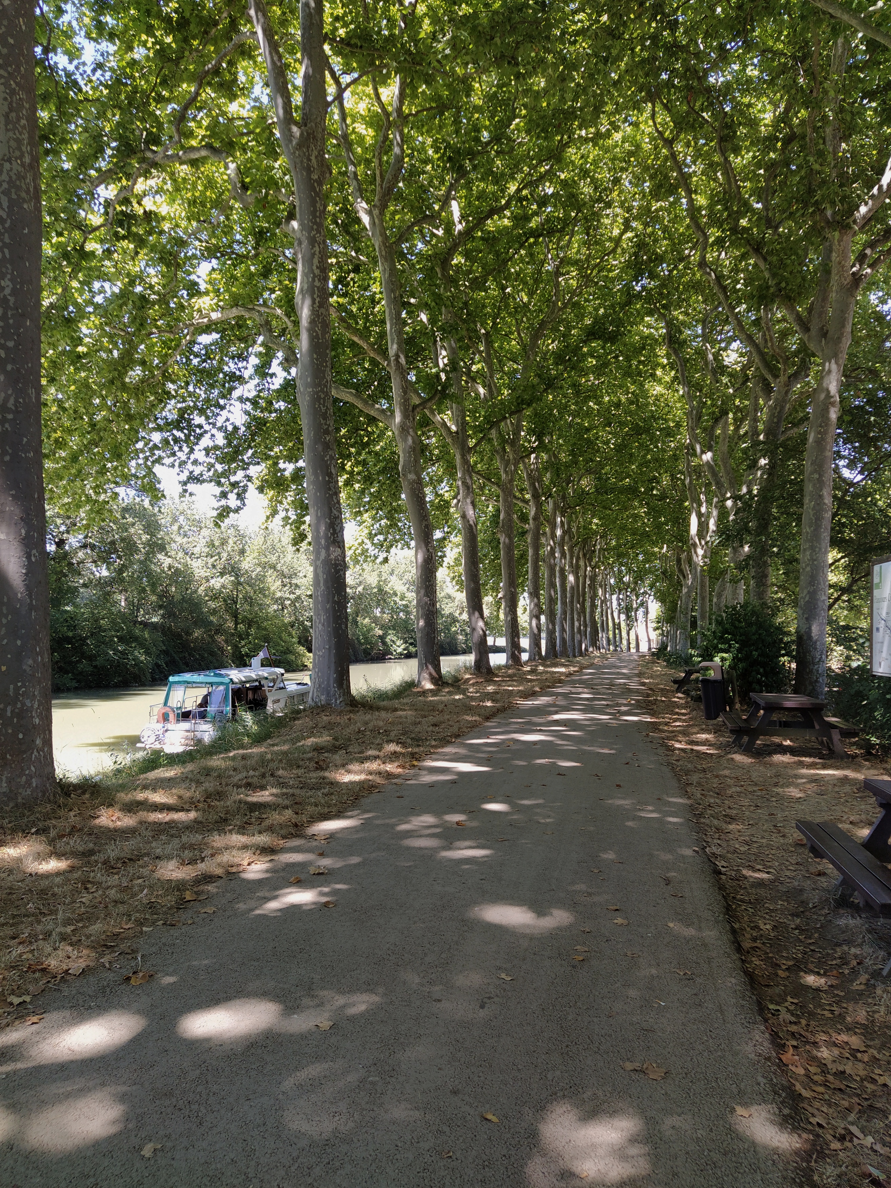 IMG_20200819_131025-01