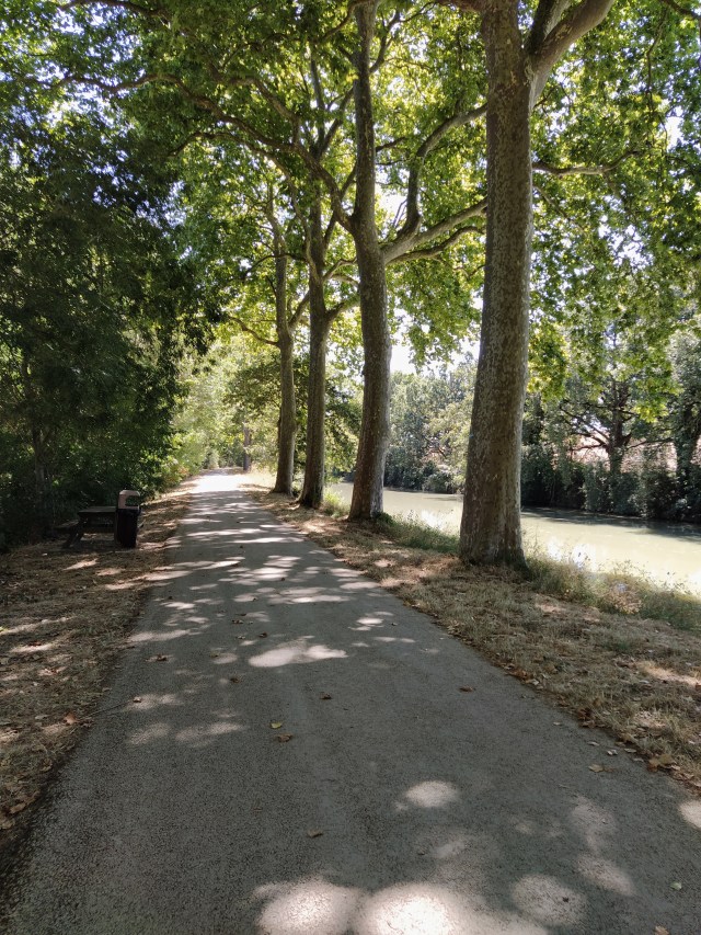 IMG_20200819_131031-01