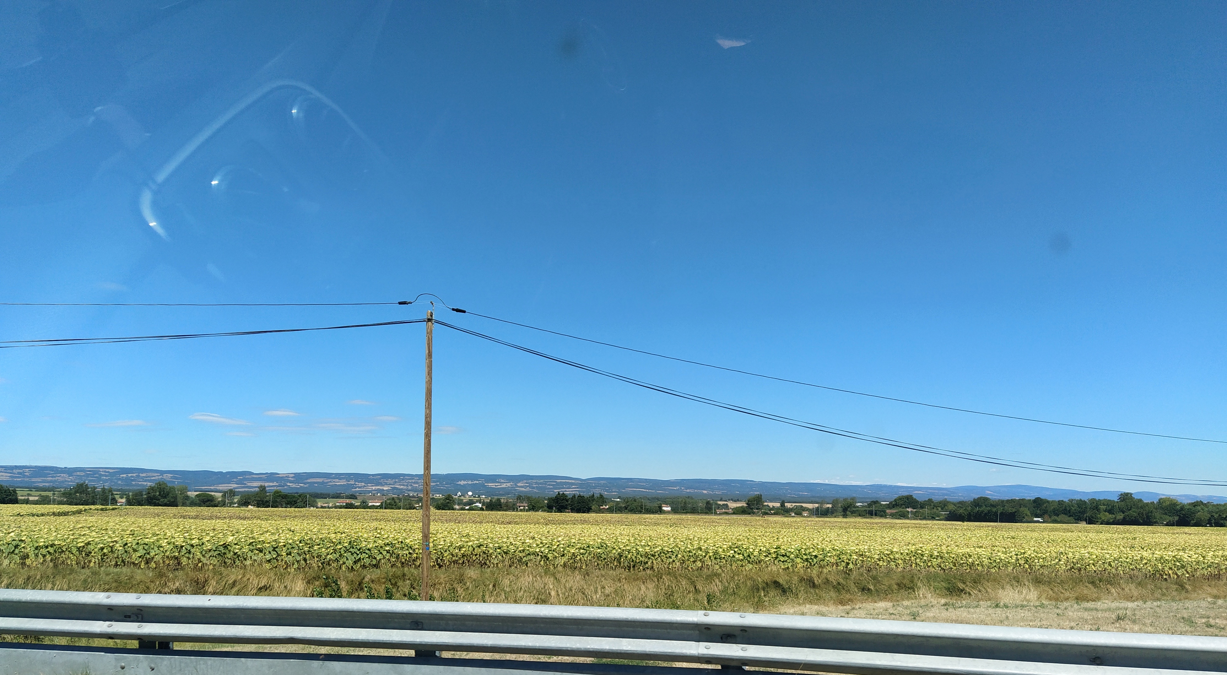 IMG_20200819_143720-02