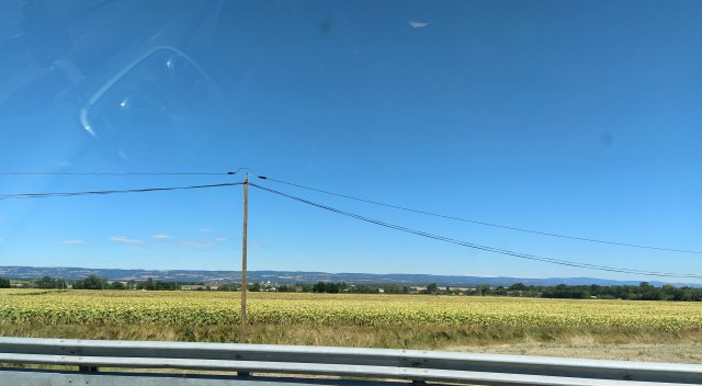 IMG_20200819_143720-02