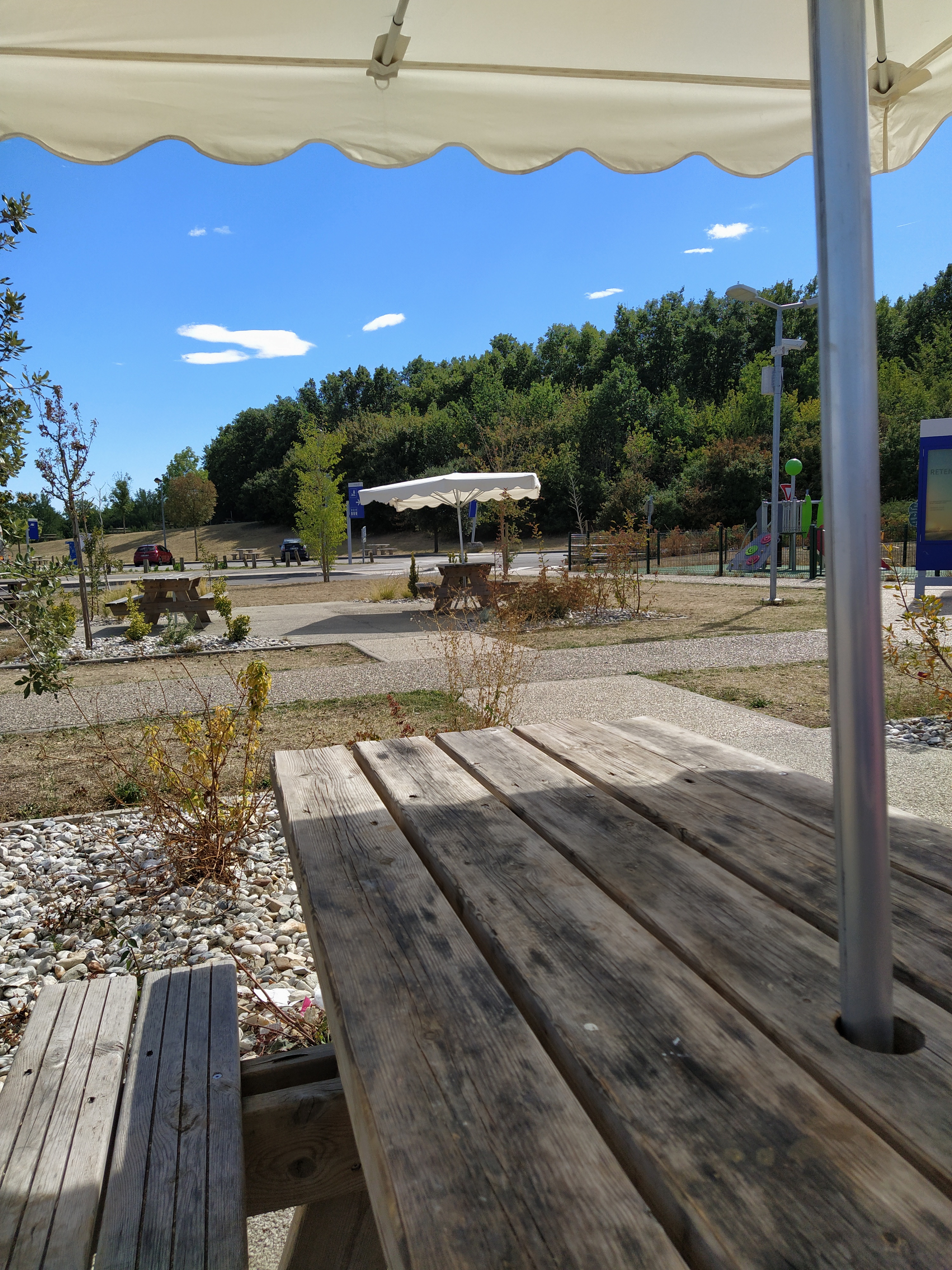 IMG_20200819_162059-01