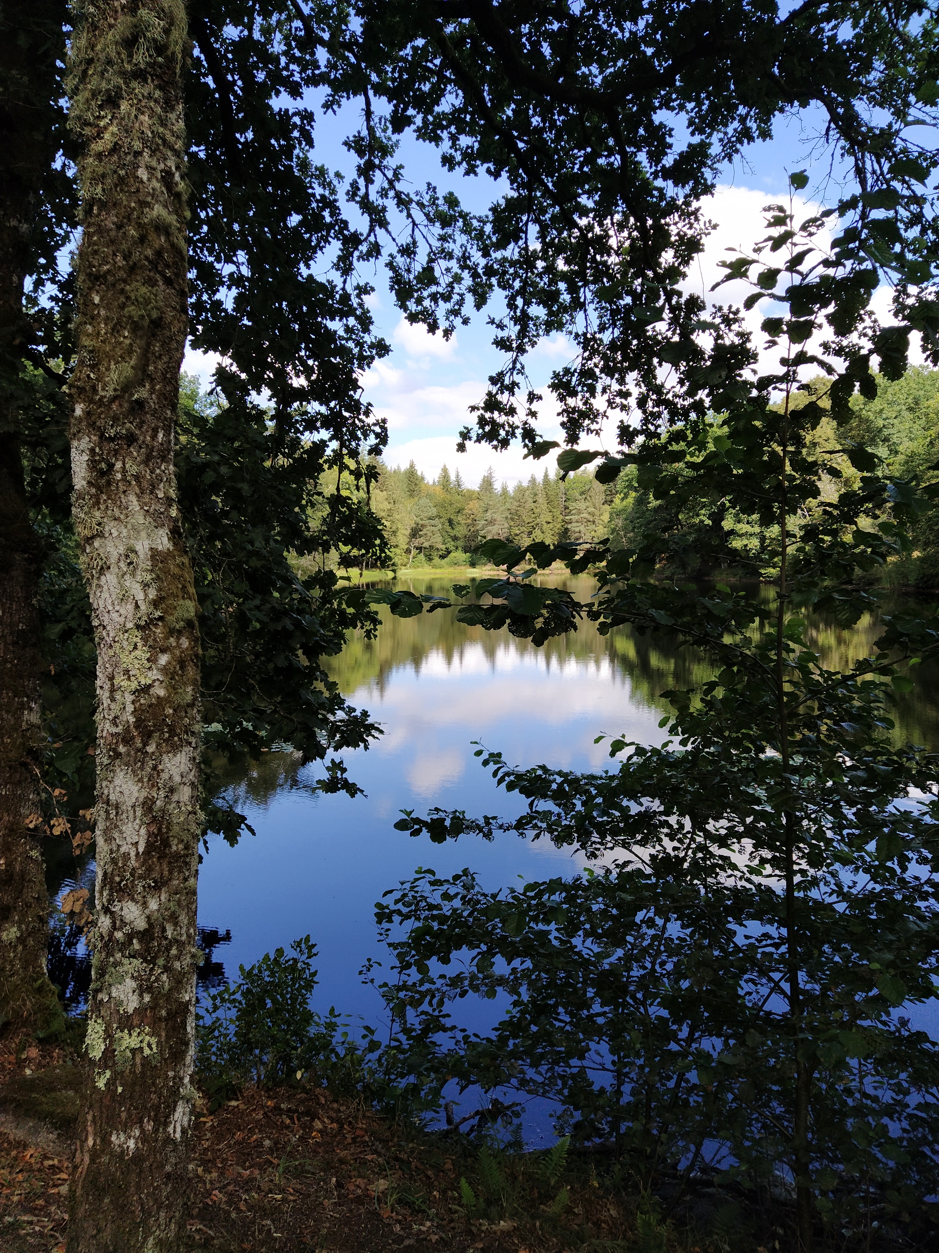 IMG_20200824_112523-01