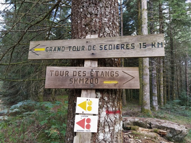 IMG_20200824_114601-01