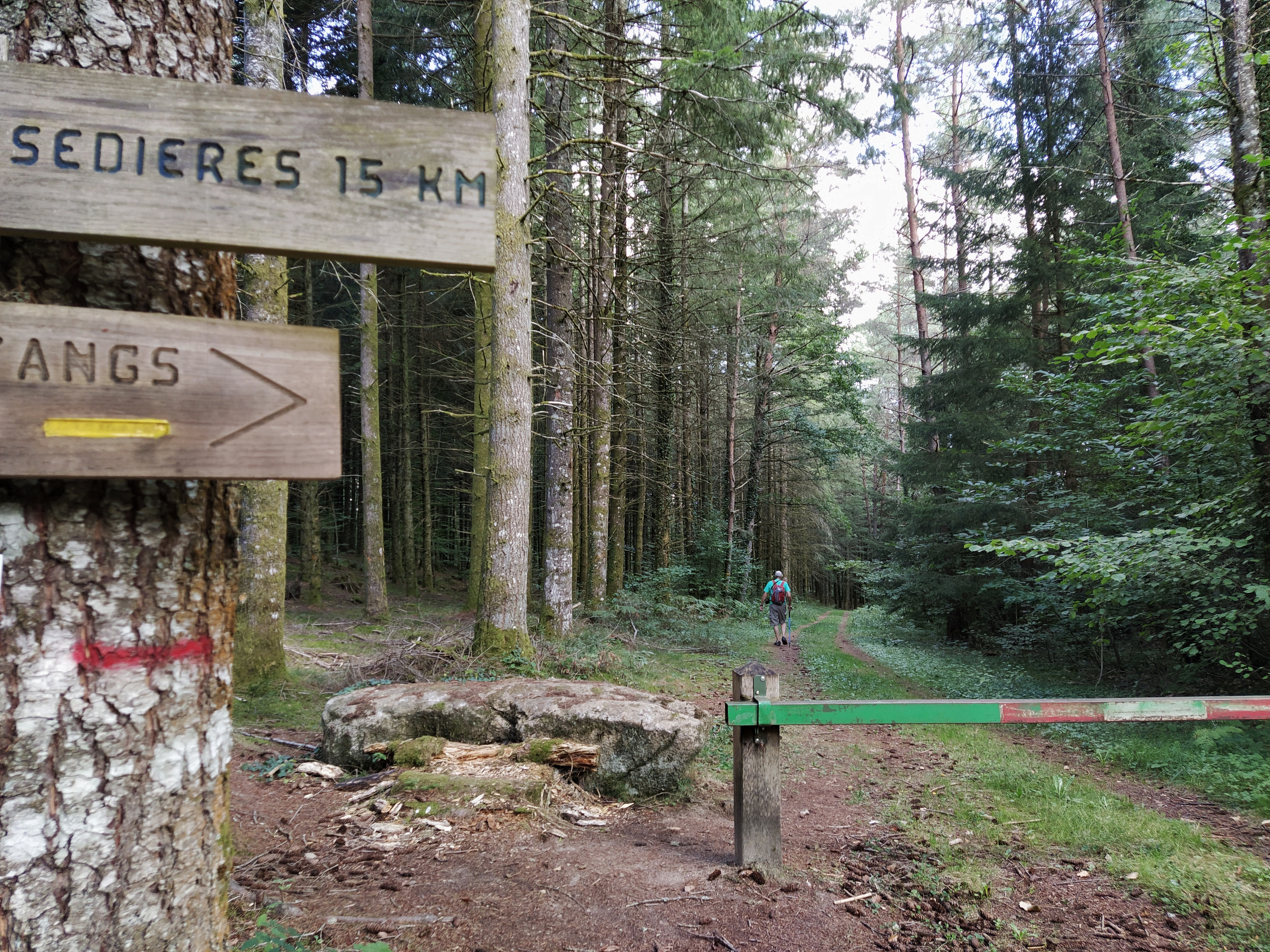 IMG_20200824_114604-01