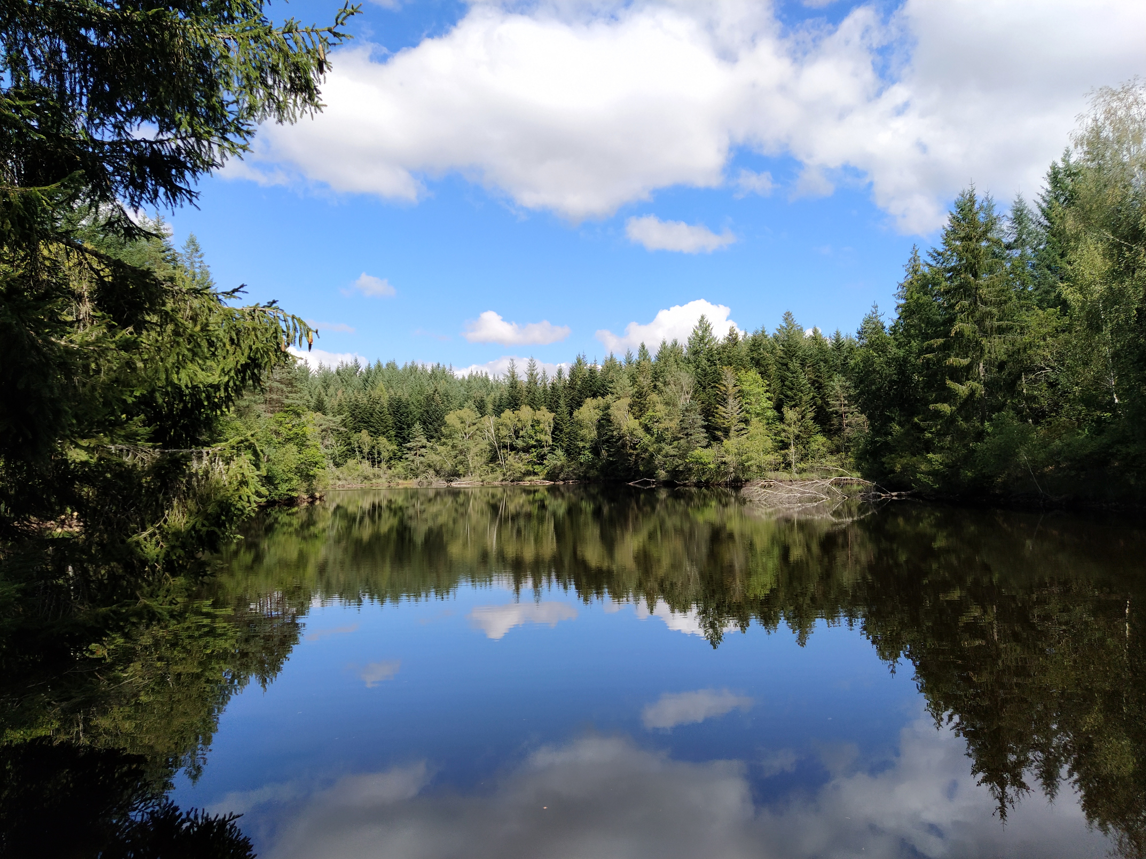 IMG_20200824_115003-01