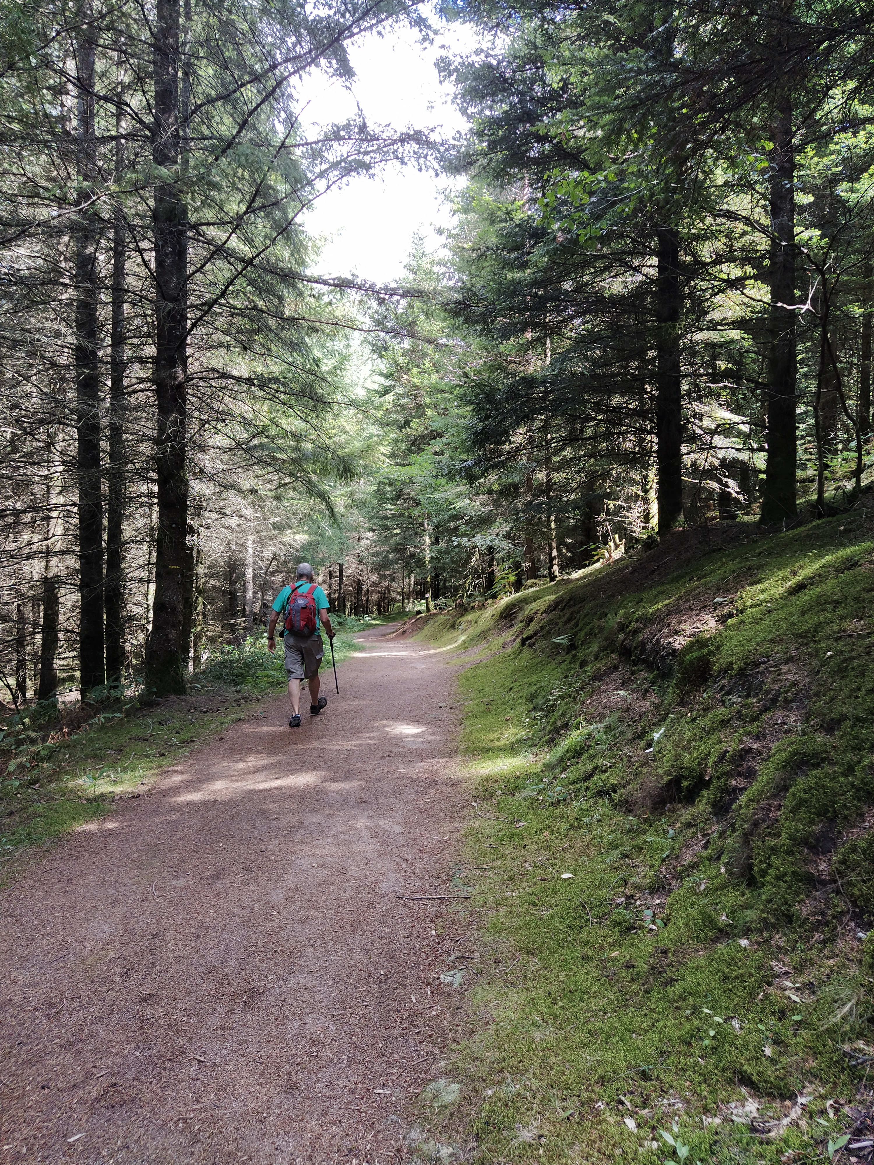 IMG_20200824_115228-01