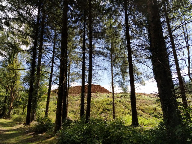 IMG_20200824_120451-01