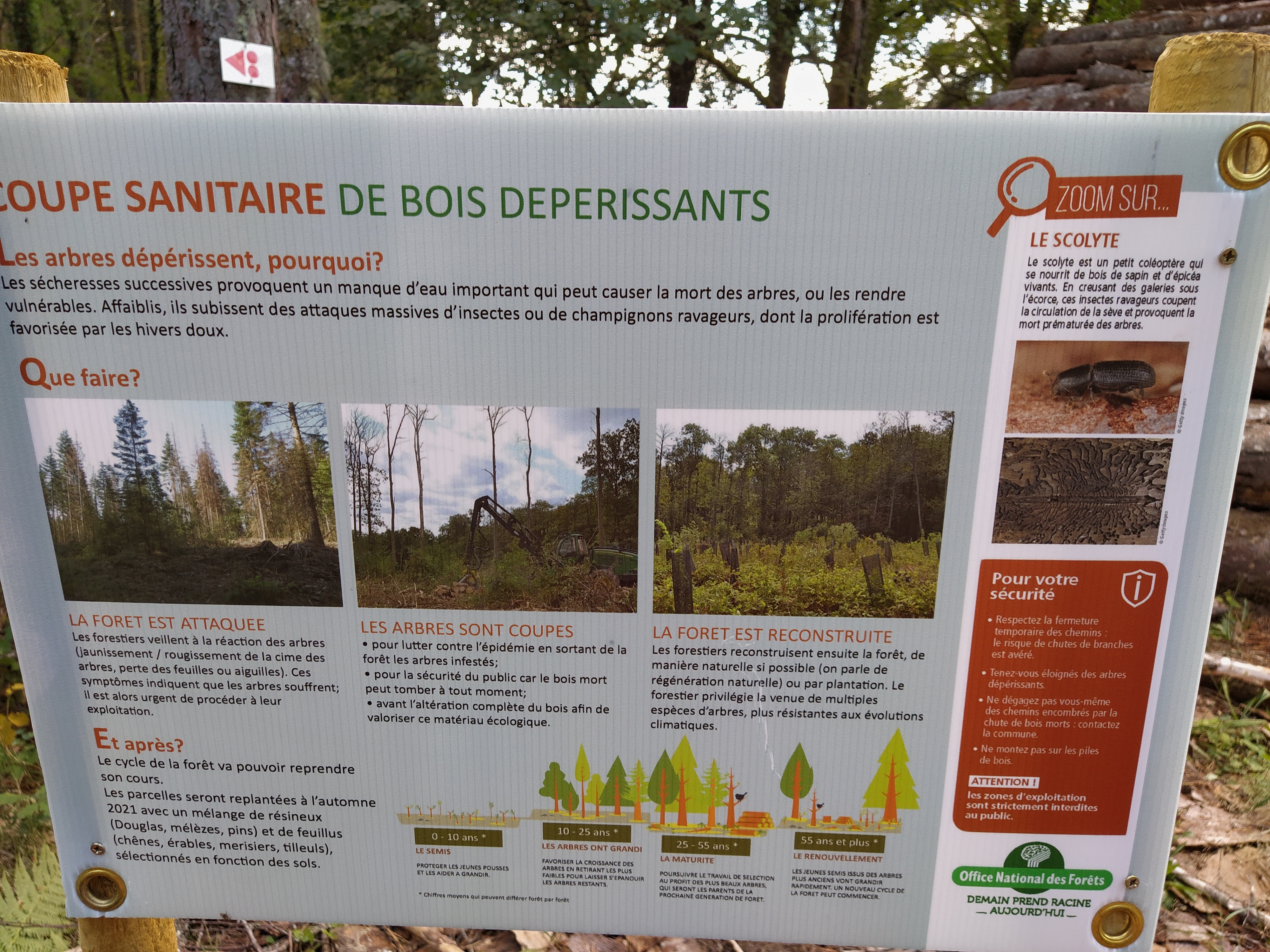 IMG_20200824_120915-01