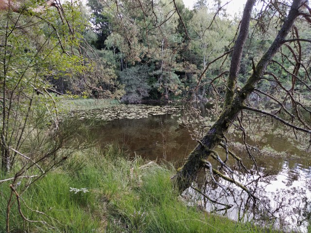 IMG_20200824_122245-01