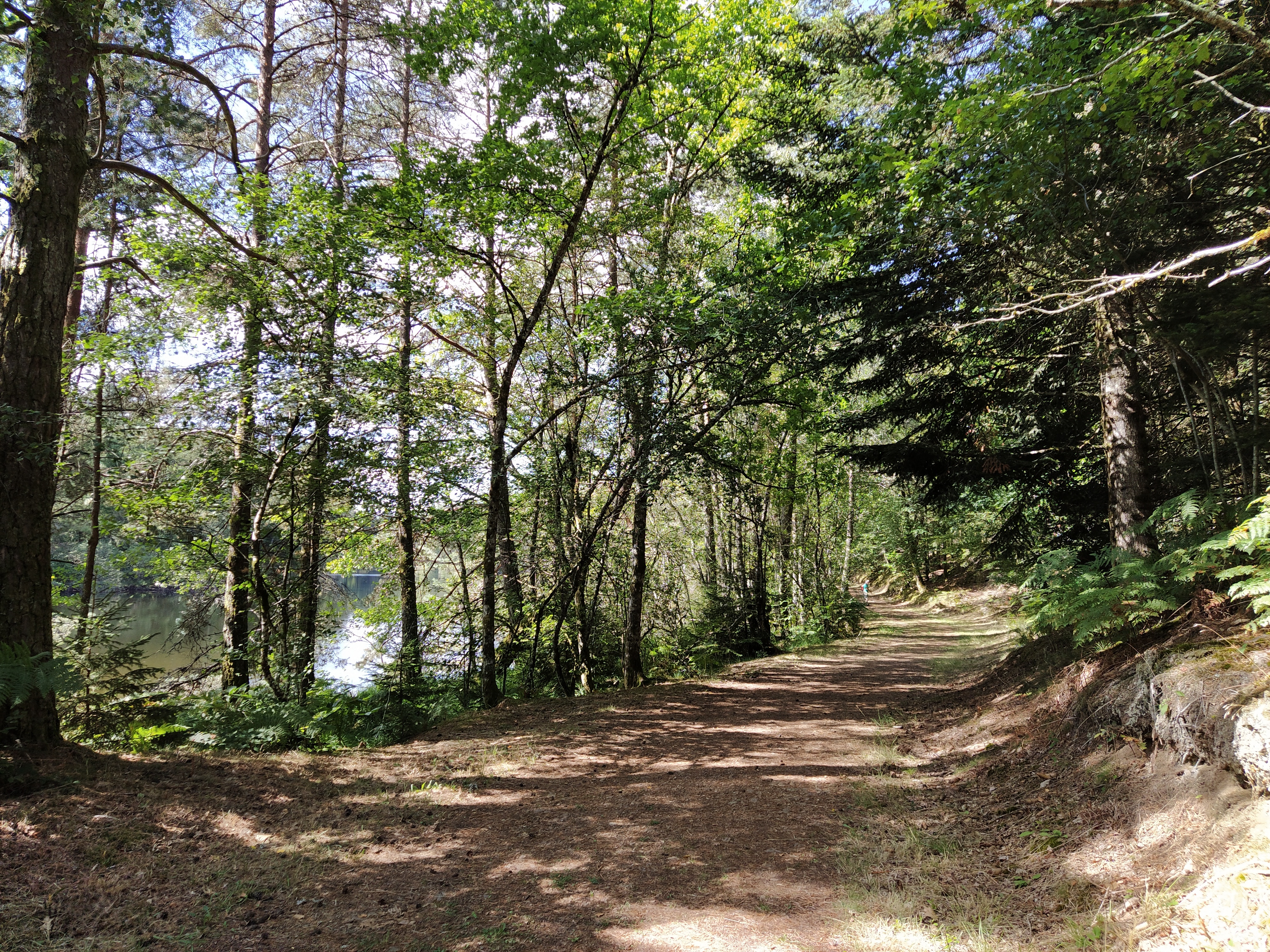 IMG_20200824_122431-01