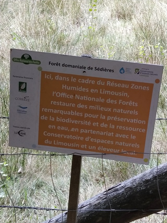 IMG_20200824_124404-01