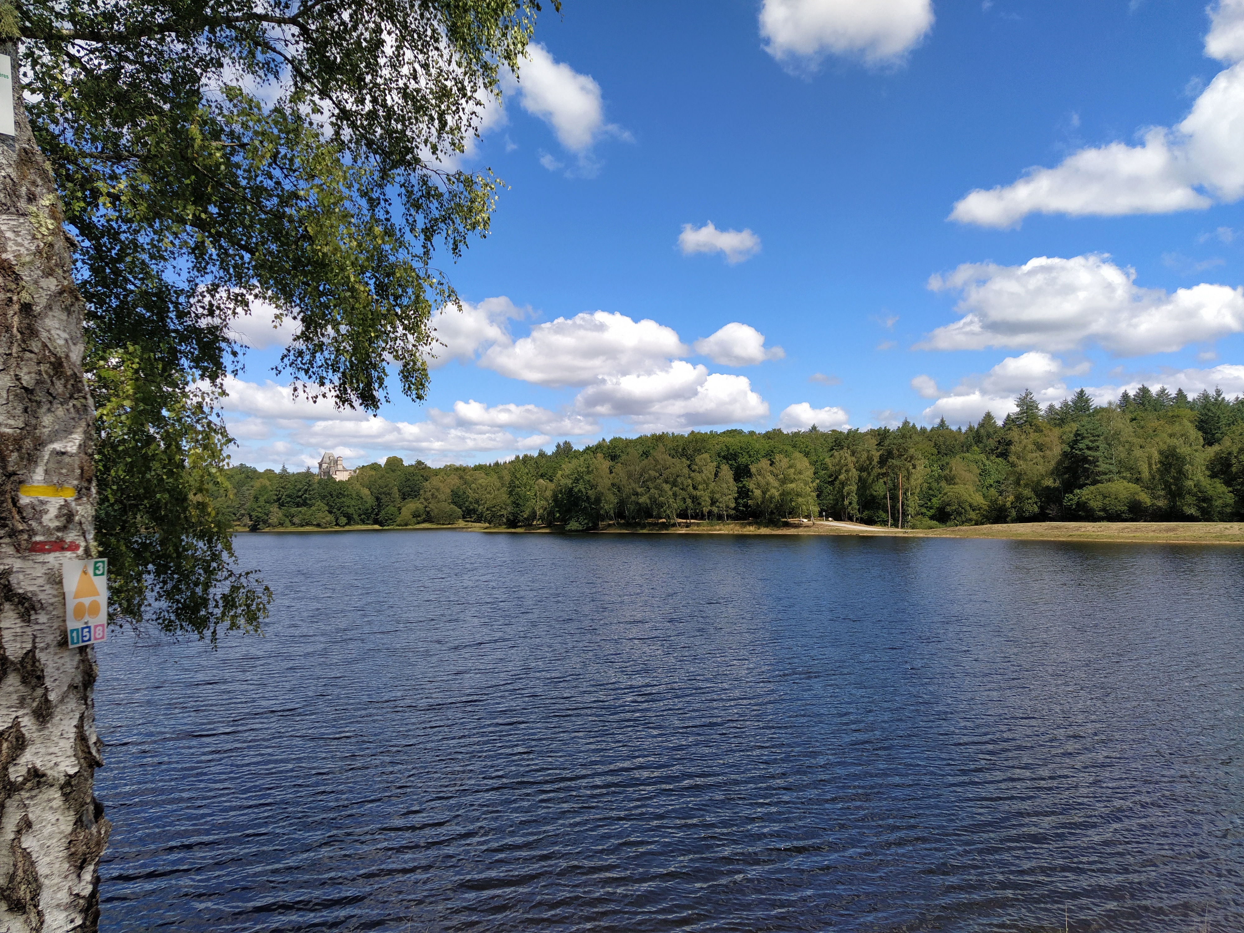 IMG_20200824_125627-01