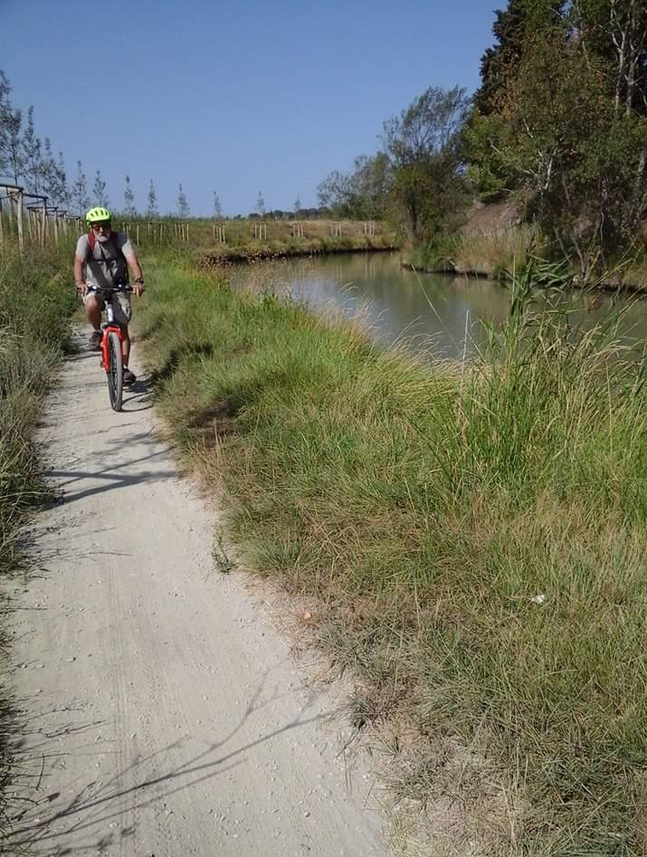 Screenshot_20200822-162508-01