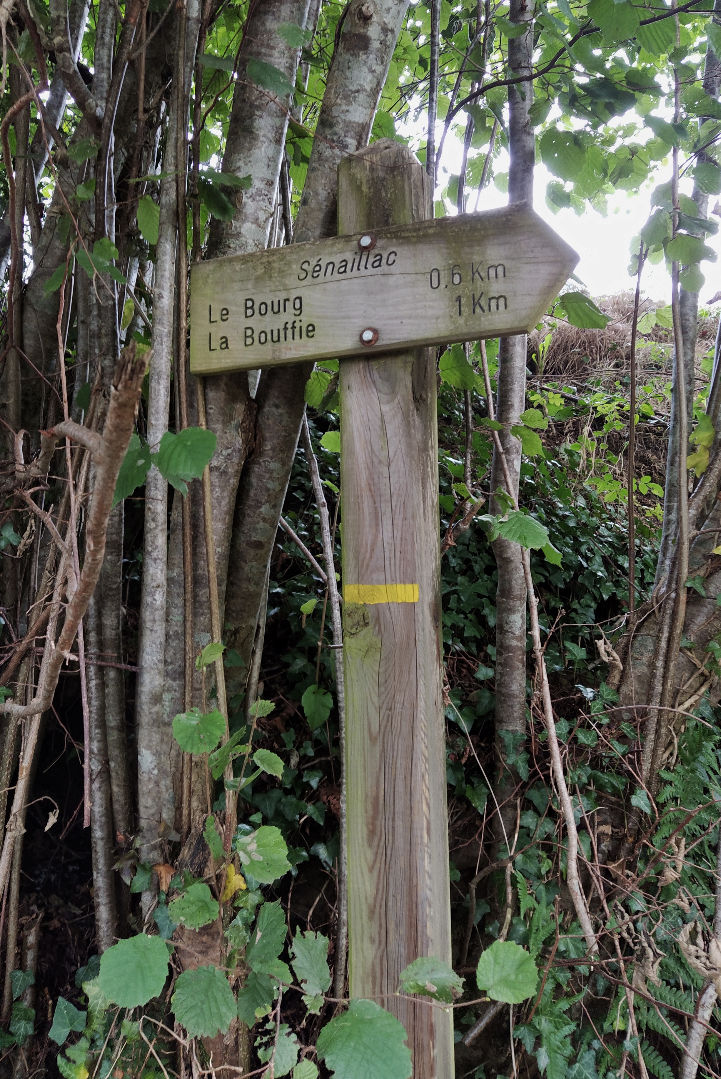 IMG_20200831_111113-01