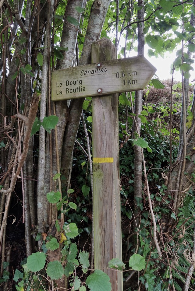 IMG_20200831_111113-01