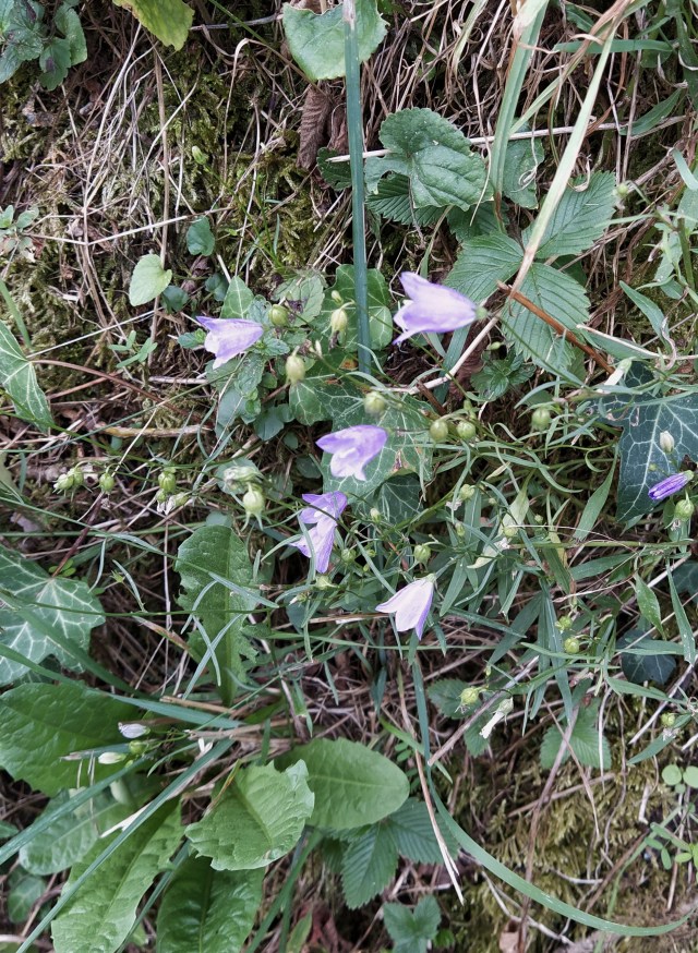 IMG_20200831_111417-01