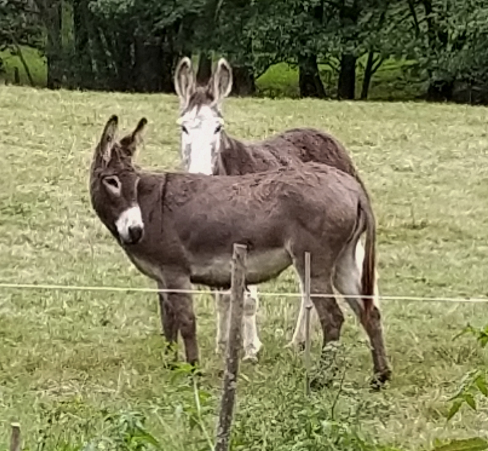 IMG_20200831_111645-01