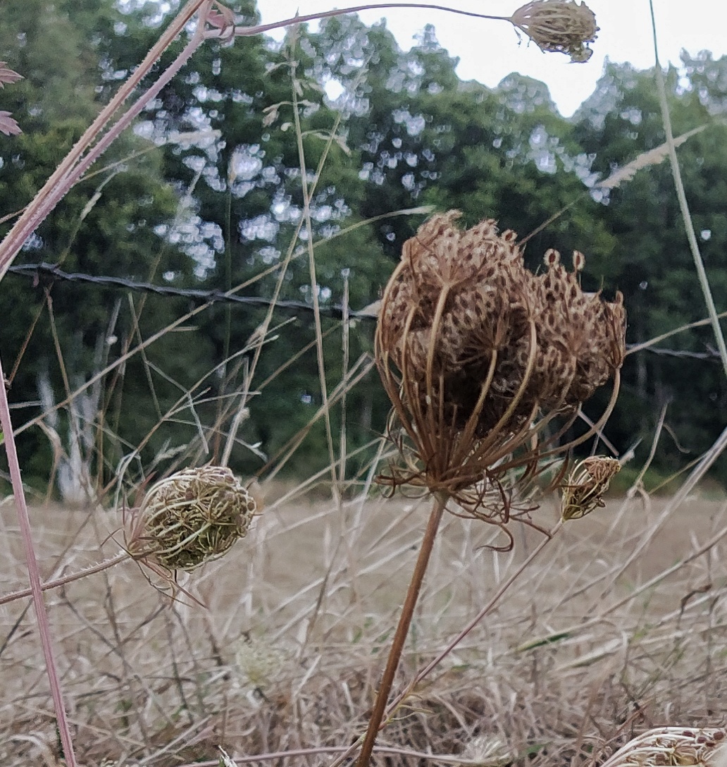 IMG_20200831_114003-01