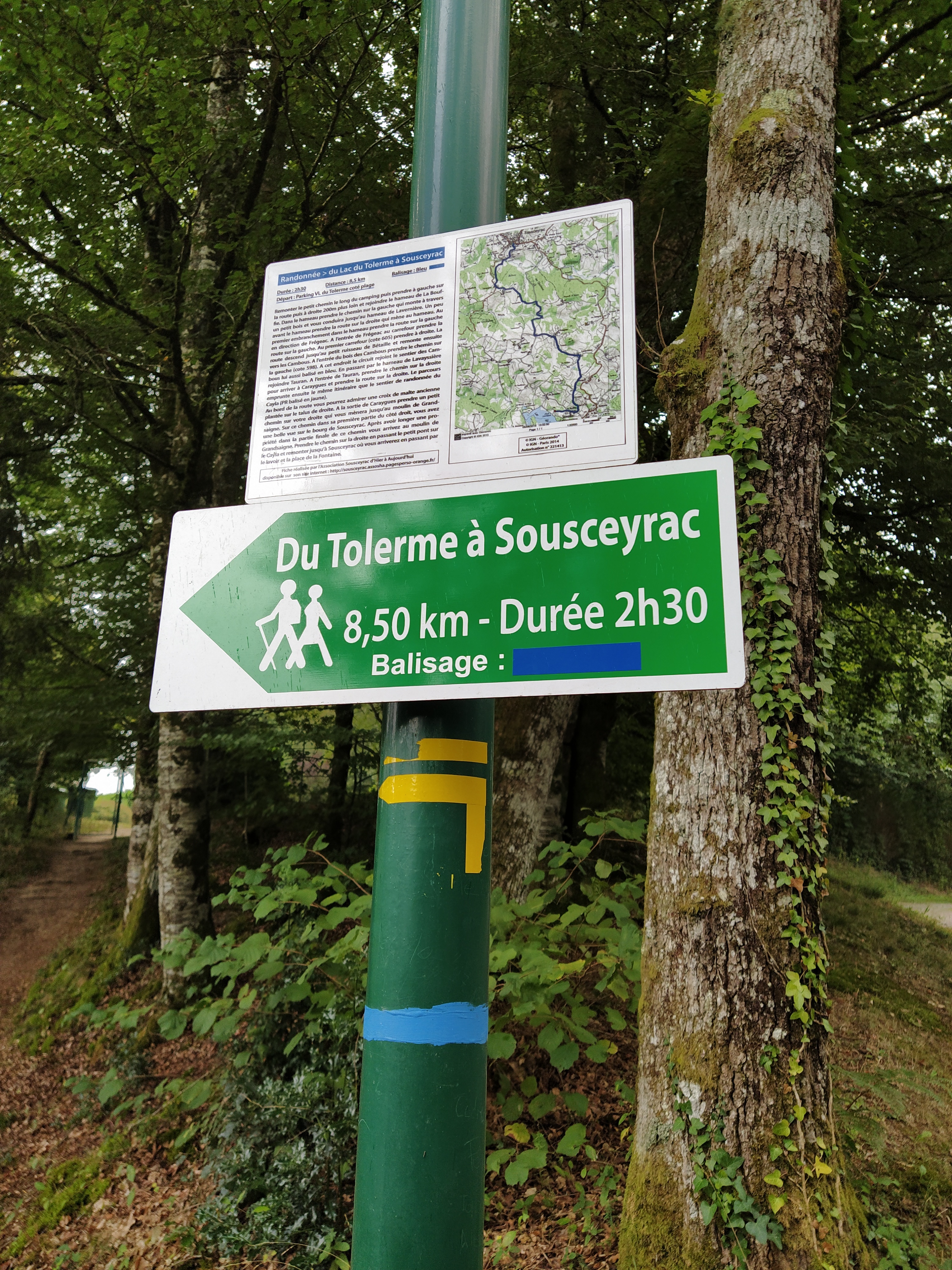 IMG_20200831_115339-01