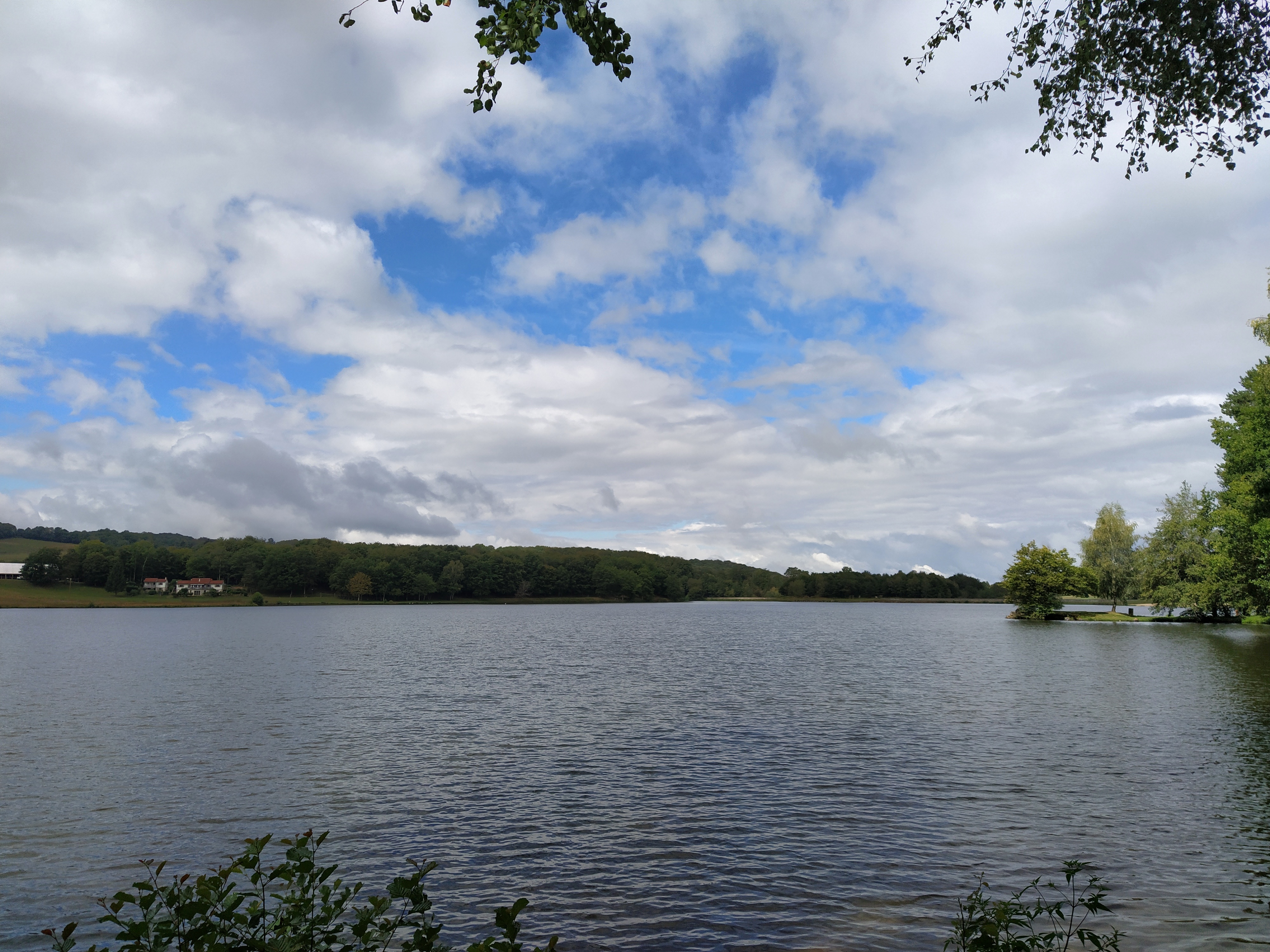 IMG_20200831_120105-01