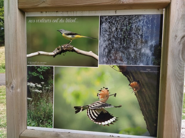 IMG_20200831_121016-01