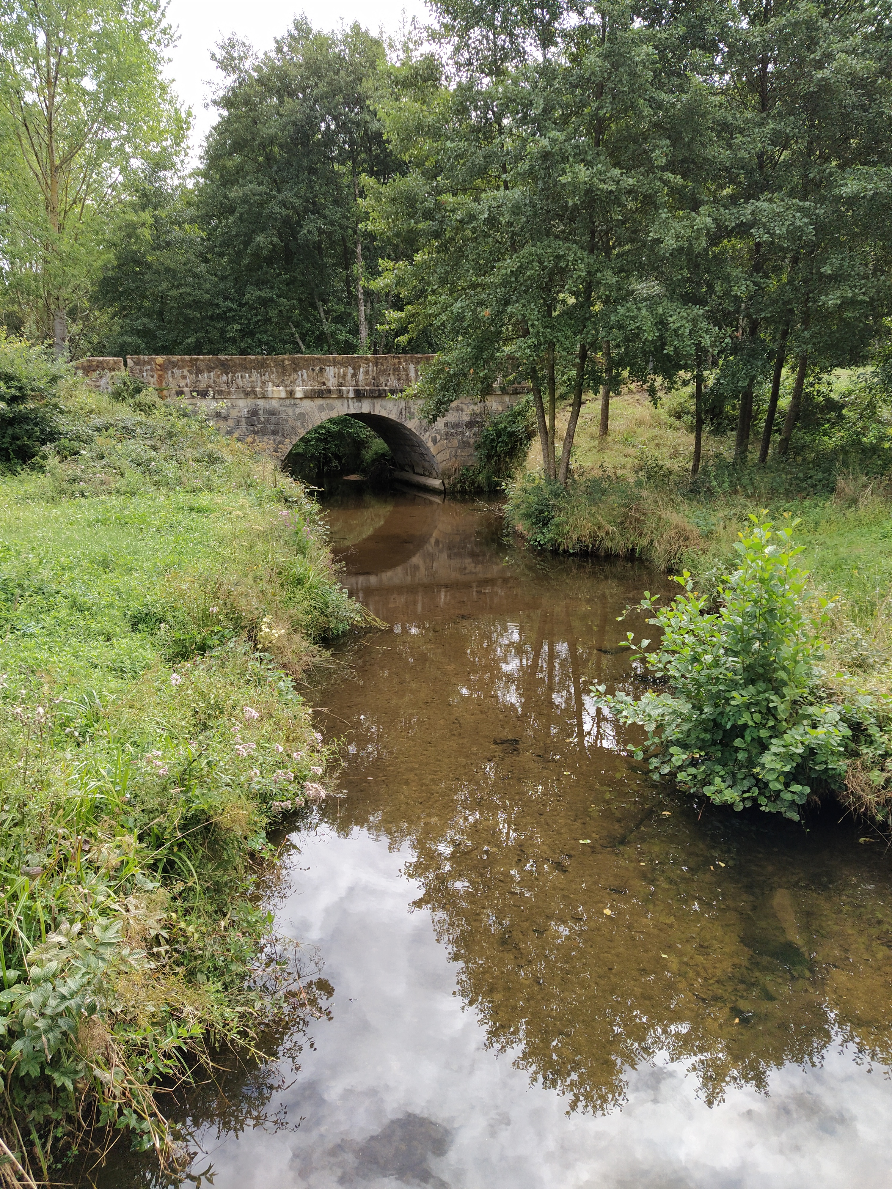 IMG_20200831_121908-01