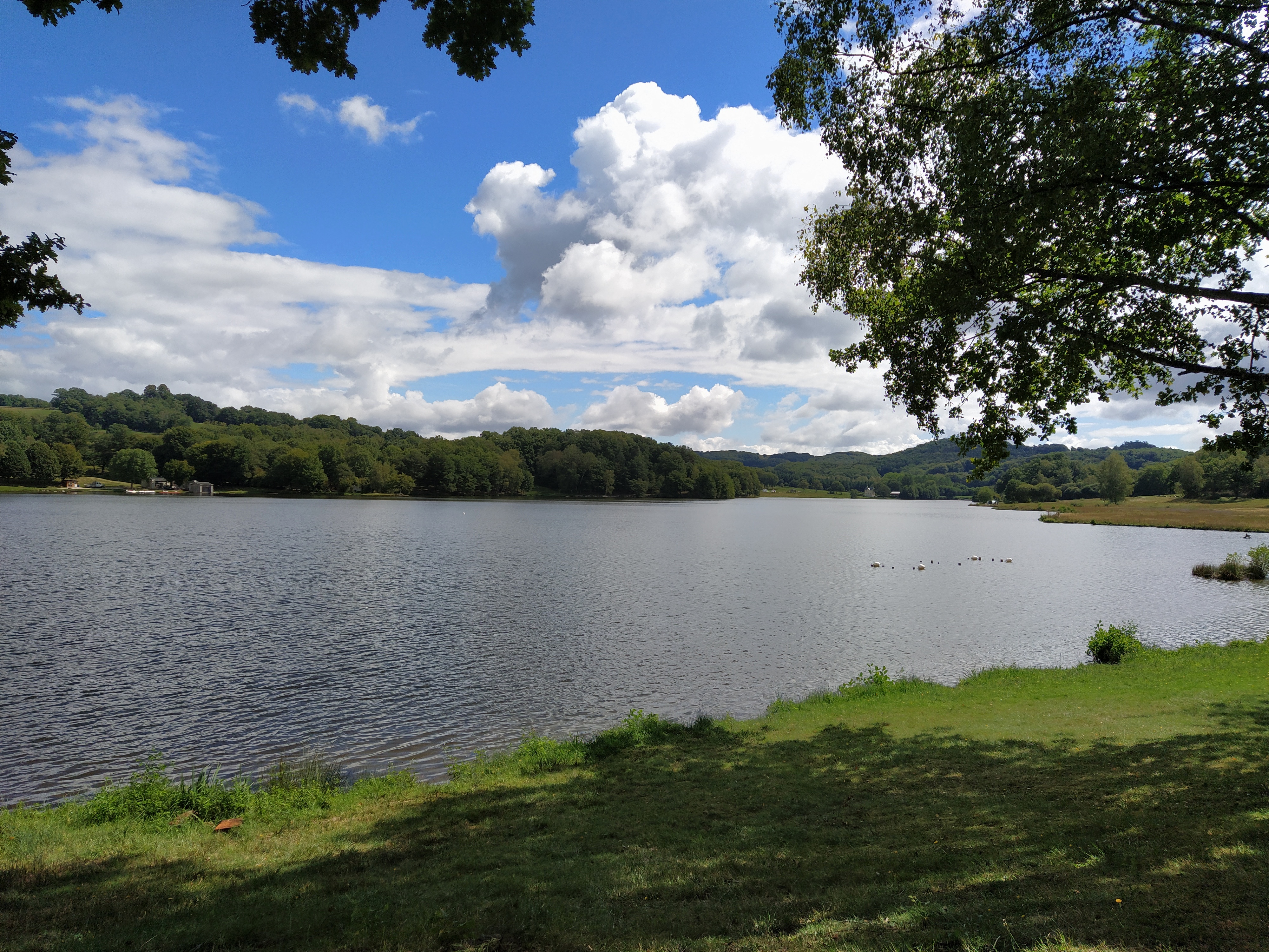 IMG_20200831_124500-01