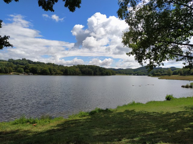 IMG_20200831_124500-01