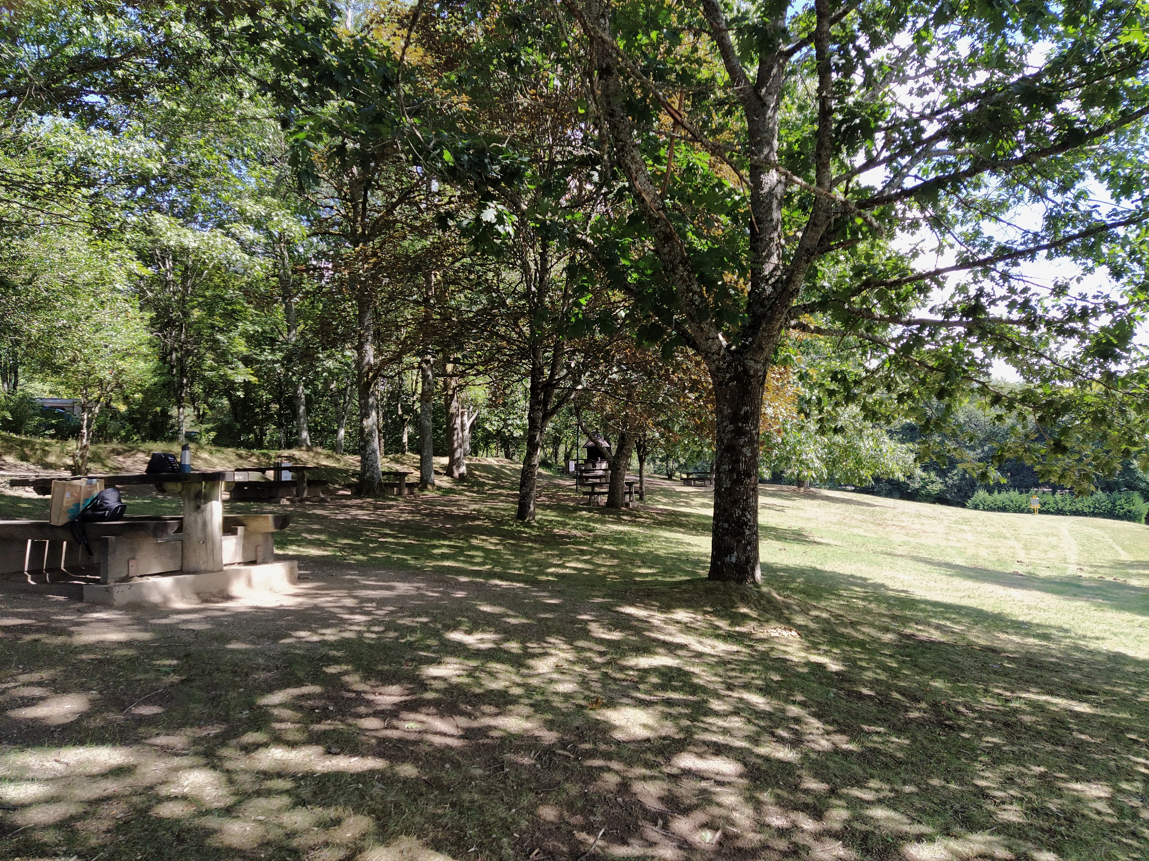 IMG_20200831_143330-01